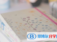 攀枝花2021年中考重點線錄取