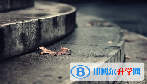 攀枝花2021年中考重點(diǎn)線上線率