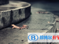 攀枝花2021年中考重點線上線率