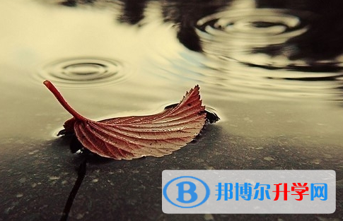 攀枝花2021年中考重點線是多少
