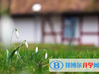攀枝花2021年今年中考統招線包括哪些區域