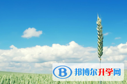 攀枝花2021年中考報名