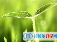 攀枝花2021年中考報名服務平臺