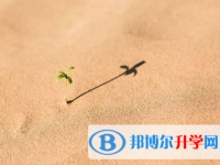 攀枝花2021年中考的規則