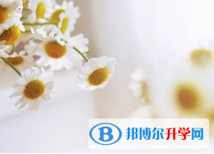 攀枝花2021年中考的統招和調劑說明