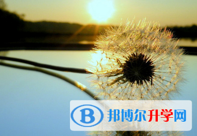 攀枝花2021年中考準考證丟了怎么辦