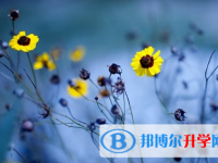 攀枝花2021年中考沒考好可以復(fù)讀嗎