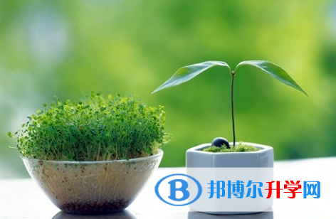 攀枝花2021年怎樣中考正常發揮