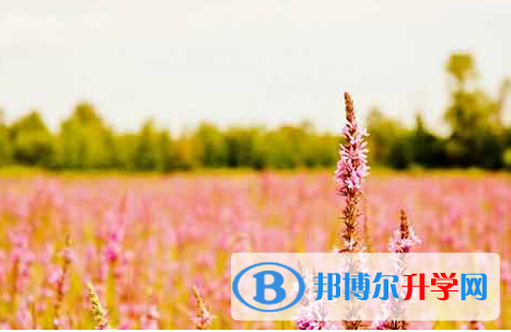 攀枝花2021年什么時候中考