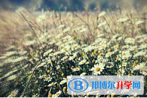 攀枝花2021年未參加中考可以讀啥學校