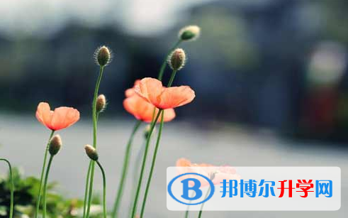 攀枝花2021年好多號(hào)中考