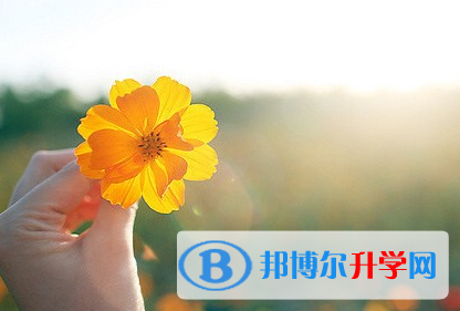 攀枝花2021年中考網絡應用服務平臺登錄