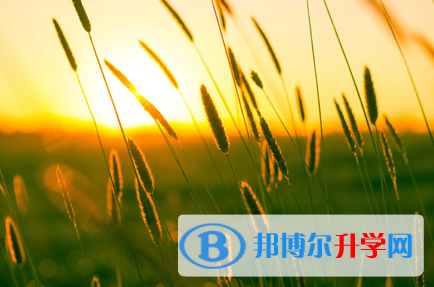 攀枝花2021年中考調劑志愿是什么意思