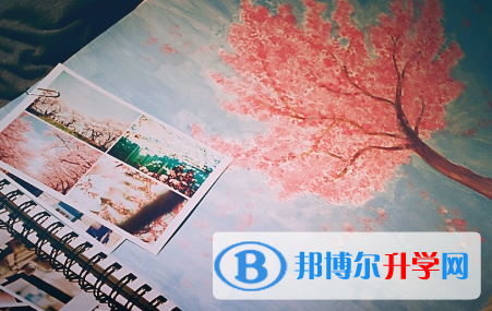 瀘州2021年查詢中考成績的熱線電話