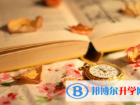 瀘州2021年如何查詢中考錄取結(jié)果