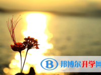 瀘州2021年中考查詢系統