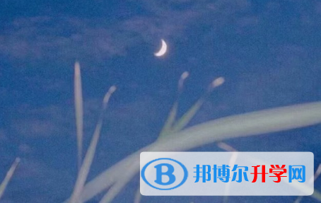 瀘州2021年中考網(wǎng)絡(luò)應(yīng)用服務(wù)平臺成績查詢