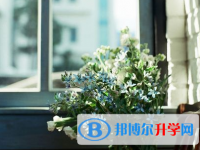 瀘州2021年如何填中考學校