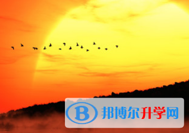 瀘州2021年中考報考攻略