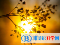 瀘州2021年中考報名網
