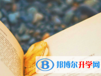 瀘州2021年中考報名網站