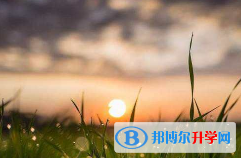 瀘州2021年中考公布時間