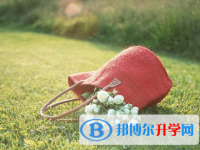 瀘州2021年中考考點(diǎn)