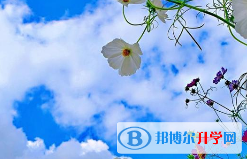 瀘州2021年中考生落榜后可不可以選擇復讀