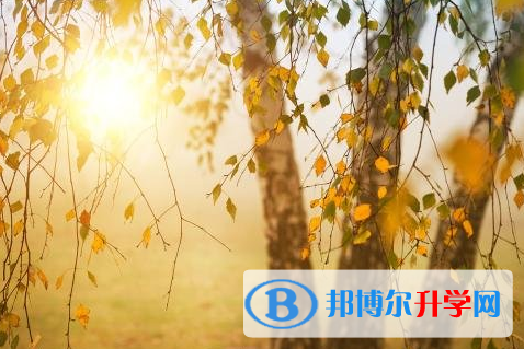 瀘州2021年中考聽力