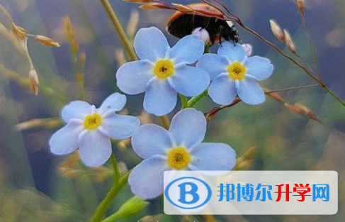 瀘州2021年中考網絡應用平臺