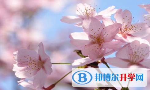 瀘州2021年中考網上報考信息平臺