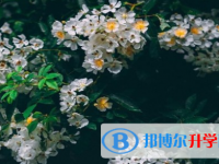 瀘州2021年中考網上報名