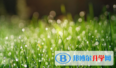 瀘州2021年中考網(wǎng)上報名系統(tǒng)