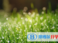 瀘州2021年中考網上報名系統