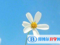 瀘州2021年中考招辦電話