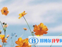 瀘州2021年中考招生辦電話