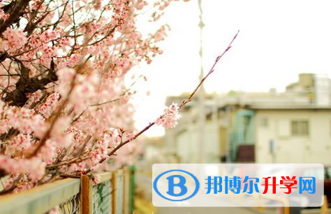 瀘州2021年中考招生計劃查詢