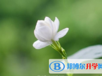 瀘州2021年中考招生網絡應用服務平臺