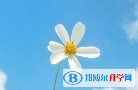 瀘州2021年中考志愿官網