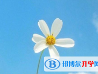 瀘州2021年中考志愿官網