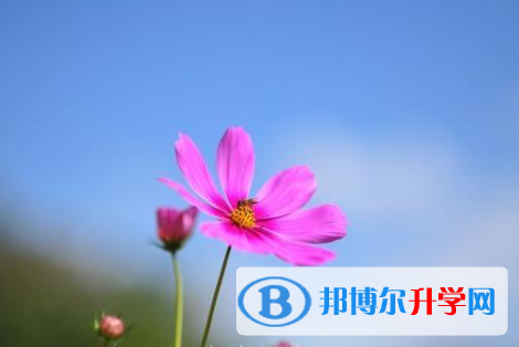 瀘州2021年中考重點復習資料