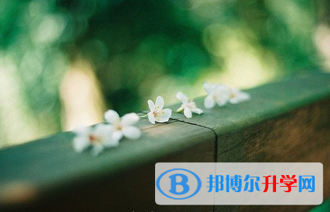 瀘州2021年中考自主招生報名
