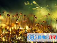 瀘州2021年中考自主招生報名有哪些學校
