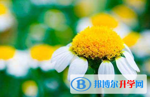 瀘州2021年中考自主招生考試學(xué)校