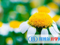 瀘州2021年中考自主招生考試學校