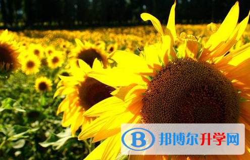 瀘州2021年今年中考哪些學(xué)校有招生