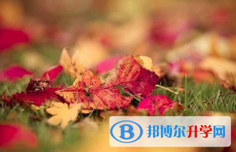 瀘州2021年中考的統招和調劑說明