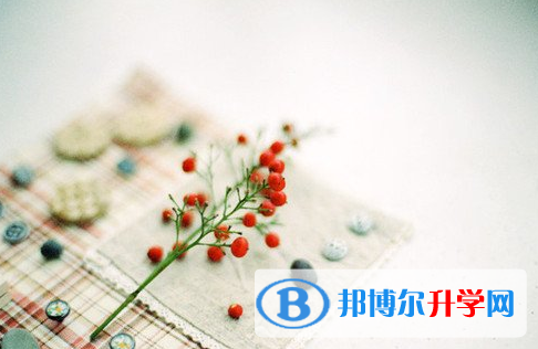 瀘州2021年中考應(yīng)對策略