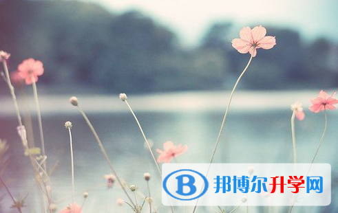 瀘州2021年中考重點復習