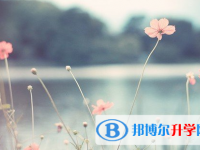 瀘州2021年中考重點復習